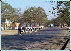 1117-3.jpg (31098 bytes)